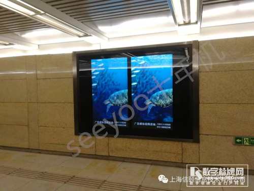 “十年機”頻出沒，時間鑄造經典和品質